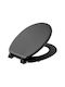 Plastic Toilet Seat Gray 37cm
