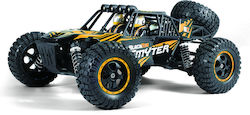 BlackZon Smyter Db Remote Controlled Car Buggy ...