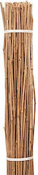 Ecoshadow Baumschule Bambusstäbe Bündel 100 Stück Φ16-20mm x H 250cm