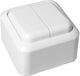 Lucas Wall-mounted Electrical Wall Switch Double White