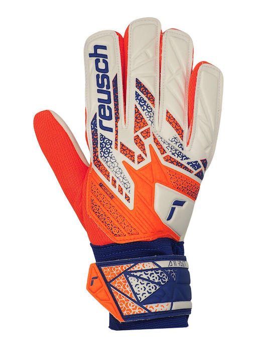 Reusch Голмански ръкавици за Възрастни Многоцветни