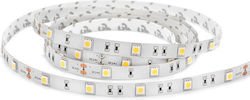 Lucas LED Strip 24V 1m