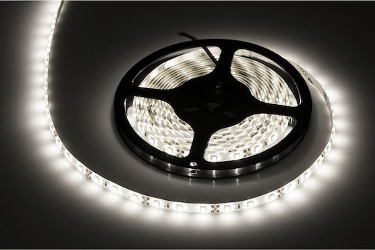 Rebel Wasserdicht LED-Streifen 12V Natürliches Weiß Licht 5m