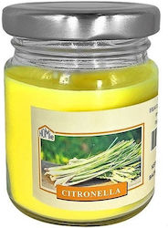 HOMie Insect Repellent Candle 105gr HOMie Insect Repellent Candle 105gr