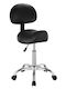 Ergonomic Office & Desk Stool with Backrest Black 37.5x36x100cm