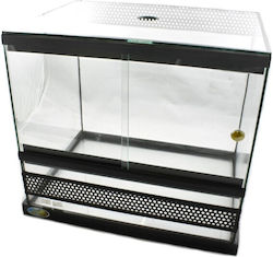 Greek Colal Fish Reptilienterrarium