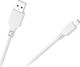 1m USB 2.0 Cable A-Male to mini A-Male (KPO2905W-1)