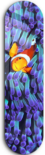 Πίνακας Γυάλινος Clown Fish 226sng1119 20x80cm Multi Wallity Κάθετοι Γυαλί