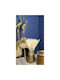 Pampas Reed Fluffy Dried Flower 70g Height 75cm