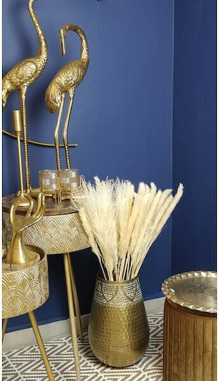 Floare Uscată de Trestie Pampas Pufoasă 70g Înălțime 75cm