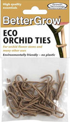 Bettergrow Orchid Ties Brown