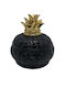 Karvounis Glass Sweet Jar with Lid Black 15x14.5x15cm
