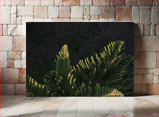 Πίνακας Illuminated Green Pine Leaves Φωτιζόμενα Πράσινα Φύλλα Πεύκου 120x80 Πίνακας Illuminated Green Pine Leaves Φωτιζόμενα Πράσινα Φύλλα Πεύκου 120x80