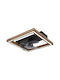 Globo Lighting Celinata Deckenventilator mit Leuchte Schwarz