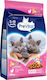 PreVital Dry Food for Young Cats with Chicken / Poultry 0.95kg