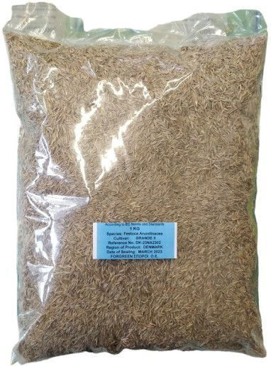 Семена Трева Фестука Гранде II 1kg