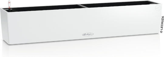 Lechuza Self-watering Planter Box Plastic White 100x19x19cm.