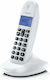 Motorola C1001CB+ Schnurlostelefon Weiß