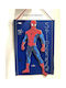 Κάδρο "spiderman 3d"
