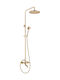 Deante Shower Column with Mixer Bronze