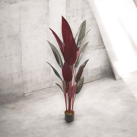 Arbore Artificial Strelitzia în Ghiveci de Plastic Roșu 170 cm