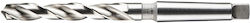 Hikoki Τρυπάνι HSS για Μέταλλο 21mm Hikoki Τρυπάνι HSS για Μέταλλο 21mm