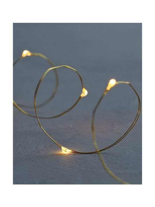 Sirius Garland Lights Exterior