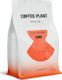 Καφές Κόκκους Coffee Plant Flow Blossom 250 G