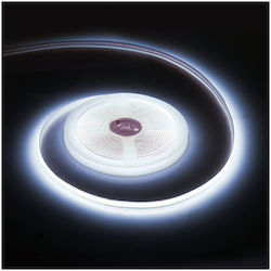 Rebel LED-Streifen 12V mit Kaltweiß Licht Rebel LED-Streifen 12V mit Kaltweiß Licht
