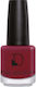 Diego Dalla Palma Glossy Nagellack Burgundisch 232 10ml