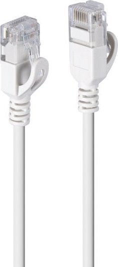 Lindy U/UTP Cat.6a Ethernet Network Cable 0.3m Gray 1pcs