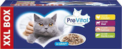 PreVital Υγρή Τροφή 48x100gr PreVital Υγρή Τροφή 48x100gr