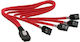 Cablu Inline SFF 8087 SATA X4 0.5m Roșu 27620