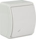 Elektro Plast Waterproof Wall Switch Lighting with Frame White