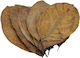 Nature4pets Jack Leaves 20pcs 12-19cm