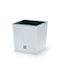 Prosperplast Rato Low Topf Kunststoff 20x20x20.2cm.
