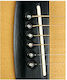 D'Addario Planet Waves Ebony Acoustic Guitar Bridge Pins Pwps 1