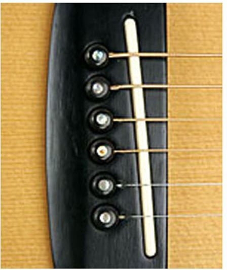 D'Addario Planet Waves Ebony Acoustic Guitar Bridge Pins Pwps 1