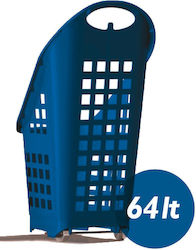 Datalogic Cosul Albastru Datalogic Cosul Albastru