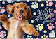 Laminated Mat Dog Spaniel Cleo Frank 44 Derform