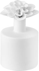 Raeder Diffuser
