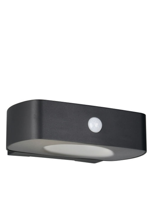 Trio Lighting Lumină de exterior montată pe perete