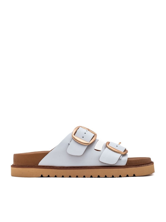 Air Anesis