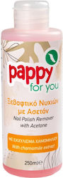 Pappy You Ασετόν Εκχύλισμα Χαμομηλιού 250ml 6-55363
