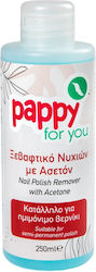 Pappy You Ασετόν Ημιμόνιμο 250ml 6-55362