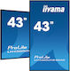 Iiyama 43" Commercial Display