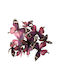 Set of 12 Decorative Purple Butterflies Clip 9.5x11.5x5cm 14.5x16.5x5cm 157.002.0056.13
