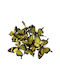Set of 12 Decorative Green Butterflies Kip 9.5x11.5x5cm 14.5x16.5x5cm 157.002.0056.09