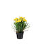 Yellow Artificial Daisy H26x10x10cm Black Pot