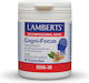 Lamberts Cogni-focus Galangal 30 Kapseln Ingwer